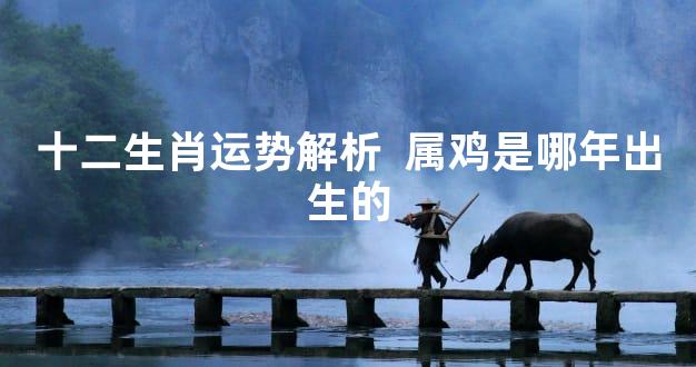 十二生肖运势解析  属鸡是哪年出生的